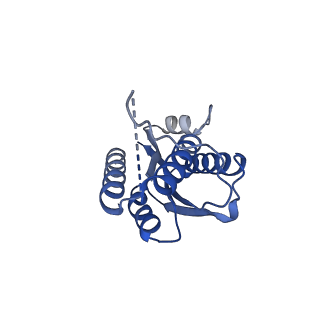 11632_7a4g_DI_v1-2
Aquifex aeolicus lumazine synthase-derived nucleocapsid variant NC-1 (180-mer)