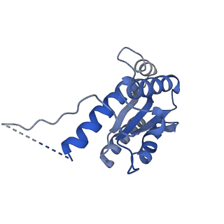 11632_7a4g_DJ_v1-2
Aquifex aeolicus lumazine synthase-derived nucleocapsid variant NC-1 (180-mer)
