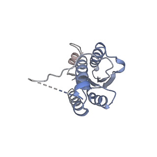 11632_7a4g_DK_v1-2
Aquifex aeolicus lumazine synthase-derived nucleocapsid variant NC-1 (180-mer)