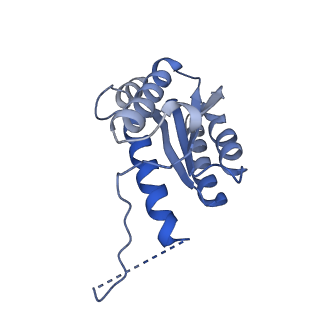 11632_7a4g_DL_v1-2
Aquifex aeolicus lumazine synthase-derived nucleocapsid variant NC-1 (180-mer)