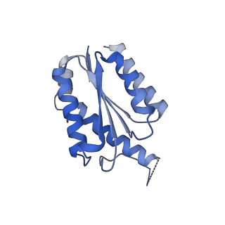 11632_7a4g_DM_v1-2
Aquifex aeolicus lumazine synthase-derived nucleocapsid variant NC-1 (180-mer)