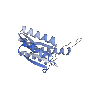 11632_7a4g_DN_v1-2
Aquifex aeolicus lumazine synthase-derived nucleocapsid variant NC-1 (180-mer)