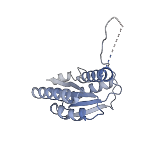 11632_7a4g_DO_v1-2
Aquifex aeolicus lumazine synthase-derived nucleocapsid variant NC-1 (180-mer)
