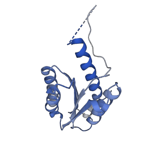 11632_7a4g_EA_v1-2
Aquifex aeolicus lumazine synthase-derived nucleocapsid variant NC-1 (180-mer)