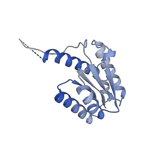 11632_7a4g_EB_v1-2
Aquifex aeolicus lumazine synthase-derived nucleocapsid variant NC-1 (180-mer)