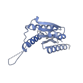 11632_7a4g_EC_v1-2
Aquifex aeolicus lumazine synthase-derived nucleocapsid variant NC-1 (180-mer)