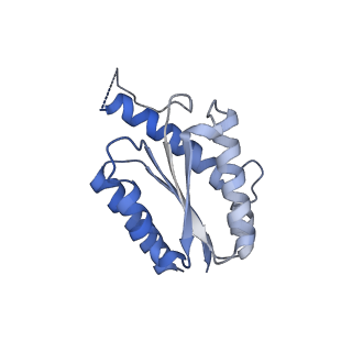 11632_7a4g_EF_v1-2
Aquifex aeolicus lumazine synthase-derived nucleocapsid variant NC-1 (180-mer)