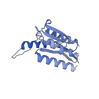 11632_7a4g_EG_v1-2
Aquifex aeolicus lumazine synthase-derived nucleocapsid variant NC-1 (180-mer)