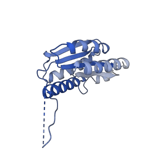11632_7a4g_EH_v1-2
Aquifex aeolicus lumazine synthase-derived nucleocapsid variant NC-1 (180-mer)