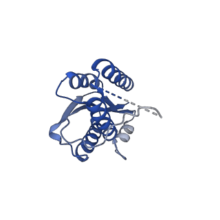 11632_7a4g_EI_v1-2
Aquifex aeolicus lumazine synthase-derived nucleocapsid variant NC-1 (180-mer)