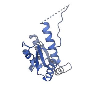 11632_7a4g_EJ_v1-2
Aquifex aeolicus lumazine synthase-derived nucleocapsid variant NC-1 (180-mer)