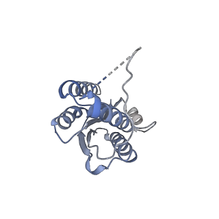 11632_7a4g_EK_v1-2
Aquifex aeolicus lumazine synthase-derived nucleocapsid variant NC-1 (180-mer)