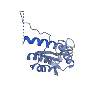 11632_7a4g_EL_v1-2
Aquifex aeolicus lumazine synthase-derived nucleocapsid variant NC-1 (180-mer)