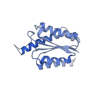 11632_7a4g_EM_v1-2
Aquifex aeolicus lumazine synthase-derived nucleocapsid variant NC-1 (180-mer)