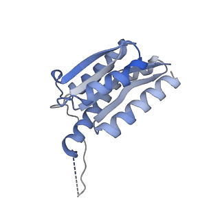 11632_7a4g_EN_v1-2
Aquifex aeolicus lumazine synthase-derived nucleocapsid variant NC-1 (180-mer)