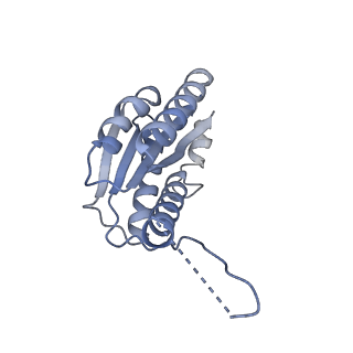 11632_7a4g_EO_v1-2
Aquifex aeolicus lumazine synthase-derived nucleocapsid variant NC-1 (180-mer)