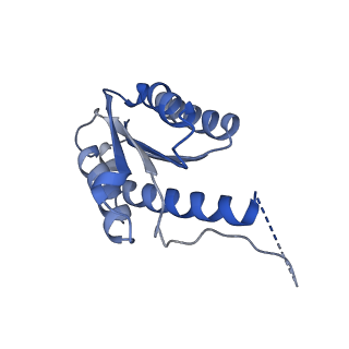 11632_7a4g_FA_v1-2
Aquifex aeolicus lumazine synthase-derived nucleocapsid variant NC-1 (180-mer)