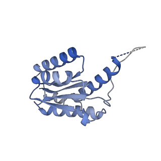 11632_7a4g_FB_v1-2
Aquifex aeolicus lumazine synthase-derived nucleocapsid variant NC-1 (180-mer)