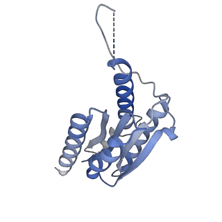 11632_7a4g_FC_v1-2
Aquifex aeolicus lumazine synthase-derived nucleocapsid variant NC-1 (180-mer)