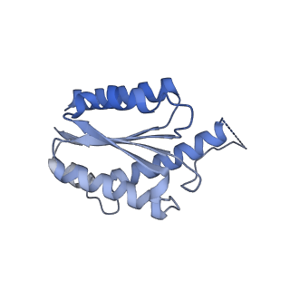 11632_7a4g_FF_v1-2
Aquifex aeolicus lumazine synthase-derived nucleocapsid variant NC-1 (180-mer)
