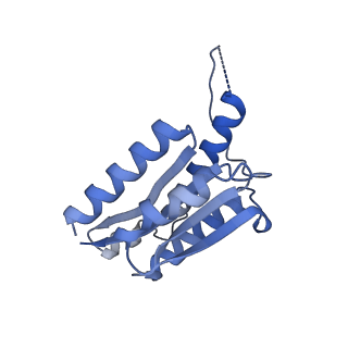 11632_7a4g_FG_v1-2
Aquifex aeolicus lumazine synthase-derived nucleocapsid variant NC-1 (180-mer)