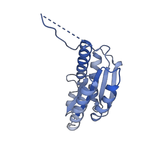 11632_7a4g_FH_v1-2
Aquifex aeolicus lumazine synthase-derived nucleocapsid variant NC-1 (180-mer)
