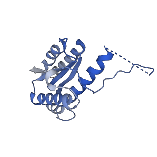 11632_7a4g_FL_v1-2
Aquifex aeolicus lumazine synthase-derived nucleocapsid variant NC-1 (180-mer)