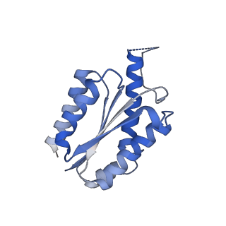 11632_7a4g_FM_v1-2
Aquifex aeolicus lumazine synthase-derived nucleocapsid variant NC-1 (180-mer)