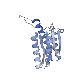 11632_7a4g_FN_v1-2
Aquifex aeolicus lumazine synthase-derived nucleocapsid variant NC-1 (180-mer)