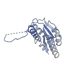 11632_7a4g_FO_v1-2
Aquifex aeolicus lumazine synthase-derived nucleocapsid variant NC-1 (180-mer)
