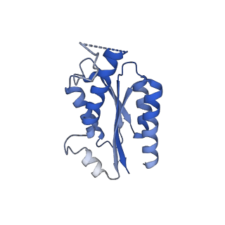 11632_7a4g_GA_v1-2
Aquifex aeolicus lumazine synthase-derived nucleocapsid variant NC-1 (180-mer)