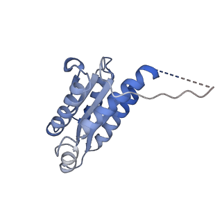 11632_7a4g_GB_v1-2
Aquifex aeolicus lumazine synthase-derived nucleocapsid variant NC-1 (180-mer)