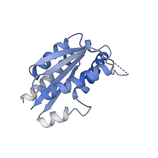 11632_7a4g_GC_v1-2
Aquifex aeolicus lumazine synthase-derived nucleocapsid variant NC-1 (180-mer)