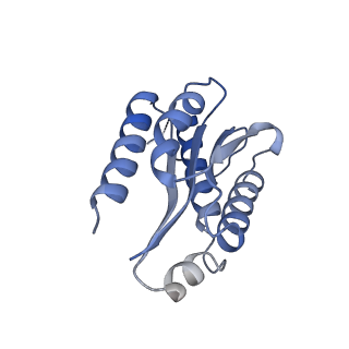 11632_7a4g_GD_v1-2
Aquifex aeolicus lumazine synthase-derived nucleocapsid variant NC-1 (180-mer)