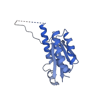 11632_7a4g_GE_v1-2
Aquifex aeolicus lumazine synthase-derived nucleocapsid variant NC-1 (180-mer)