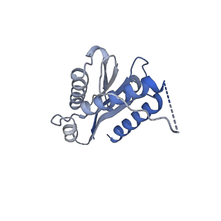 11632_7a4g_GF_v1-2
Aquifex aeolicus lumazine synthase-derived nucleocapsid variant NC-1 (180-mer)