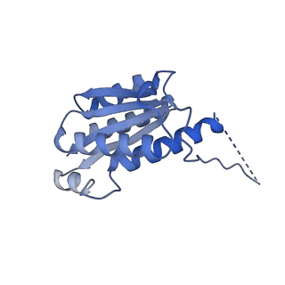 11632_7a4g_GG_v1-2
Aquifex aeolicus lumazine synthase-derived nucleocapsid variant NC-1 (180-mer)