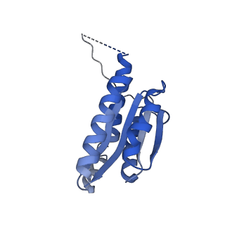 11632_7a4g_GI_v1-2
Aquifex aeolicus lumazine synthase-derived nucleocapsid variant NC-1 (180-mer)