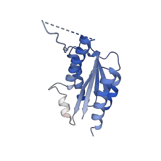 11632_7a4g_GJ_v1-2
Aquifex aeolicus lumazine synthase-derived nucleocapsid variant NC-1 (180-mer)