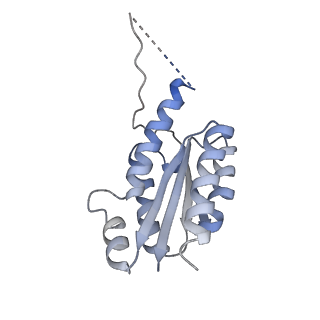 11632_7a4g_GK_v1-2
Aquifex aeolicus lumazine synthase-derived nucleocapsid variant NC-1 (180-mer)