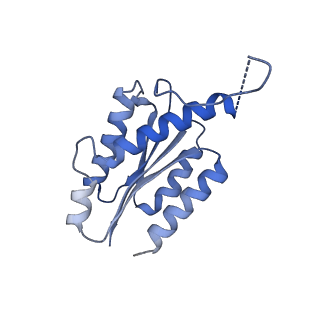 11632_7a4g_GL_v1-2
Aquifex aeolicus lumazine synthase-derived nucleocapsid variant NC-1 (180-mer)