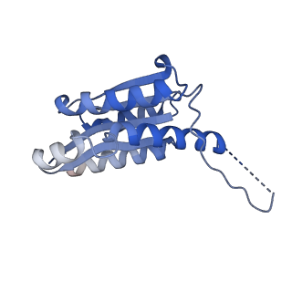 11632_7a4g_GM_v1-2
Aquifex aeolicus lumazine synthase-derived nucleocapsid variant NC-1 (180-mer)