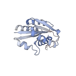 11632_7a4g_GN_v1-2
Aquifex aeolicus lumazine synthase-derived nucleocapsid variant NC-1 (180-mer)
