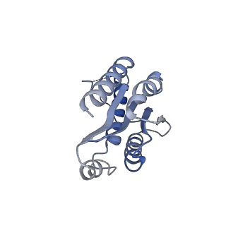11632_7a4g_GO_v1-2
Aquifex aeolicus lumazine synthase-derived nucleocapsid variant NC-1 (180-mer)