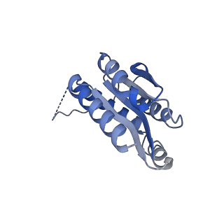11632_7a4g_HA_v1-2
Aquifex aeolicus lumazine synthase-derived nucleocapsid variant NC-1 (180-mer)