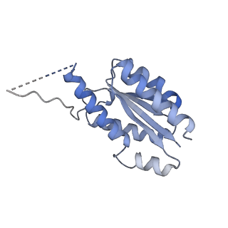 11632_7a4g_HB_v1-2
Aquifex aeolicus lumazine synthase-derived nucleocapsid variant NC-1 (180-mer)