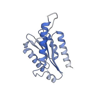 11632_7a4g_HC_v1-2
Aquifex aeolicus lumazine synthase-derived nucleocapsid variant NC-1 (180-mer)