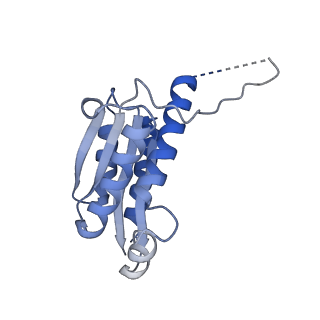 11632_7a4g_HD_v1-2
Aquifex aeolicus lumazine synthase-derived nucleocapsid variant NC-1 (180-mer)