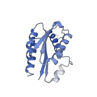 11632_7a4g_HE_v1-2
Aquifex aeolicus lumazine synthase-derived nucleocapsid variant NC-1 (180-mer)