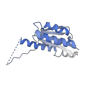 11632_7a4g_HF_v1-2
Aquifex aeolicus lumazine synthase-derived nucleocapsid variant NC-1 (180-mer)